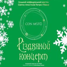 Різдвяний концерт камерного оркестру